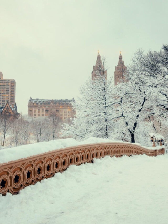 central-park-winter-with-skyscrapers-bow-bridge-midtown-manhattan-new-york-city