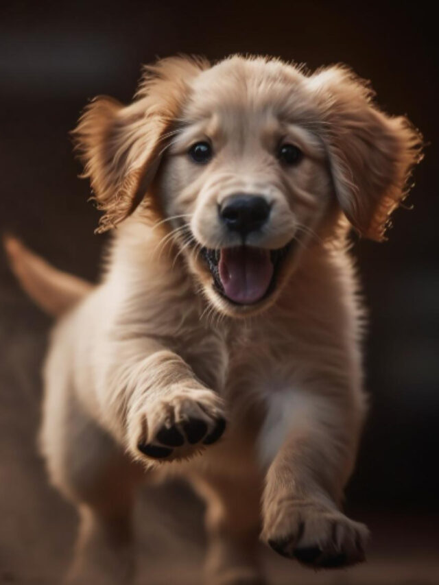 golden-retriever-puppy-running-outdoors-playing-joyfully-generated-by-ai