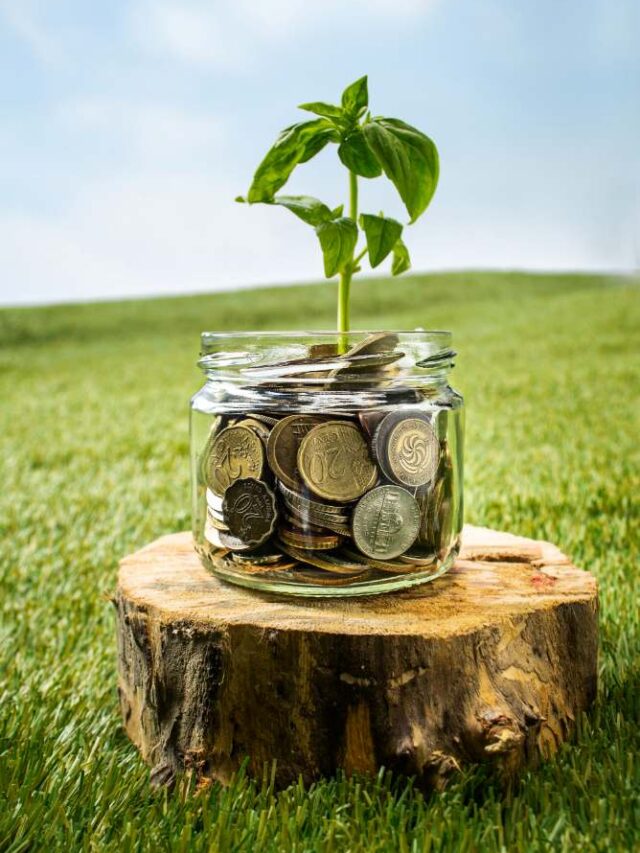 plant-growing-coins-glass-jar