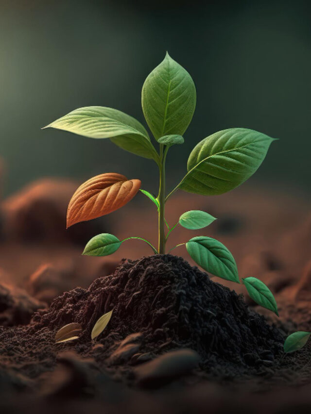 green-sprouts-dark-soil-against-blurred-background-symbolizing-concept-growth-potential