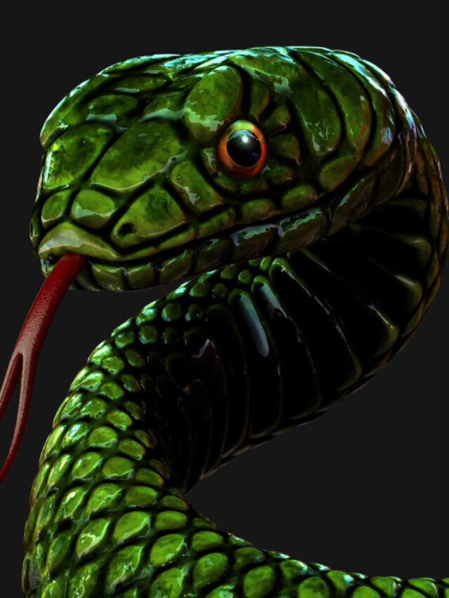 3d-illustration-green-snake-dark-black-background-3d-rendering-model-with-clipping-path