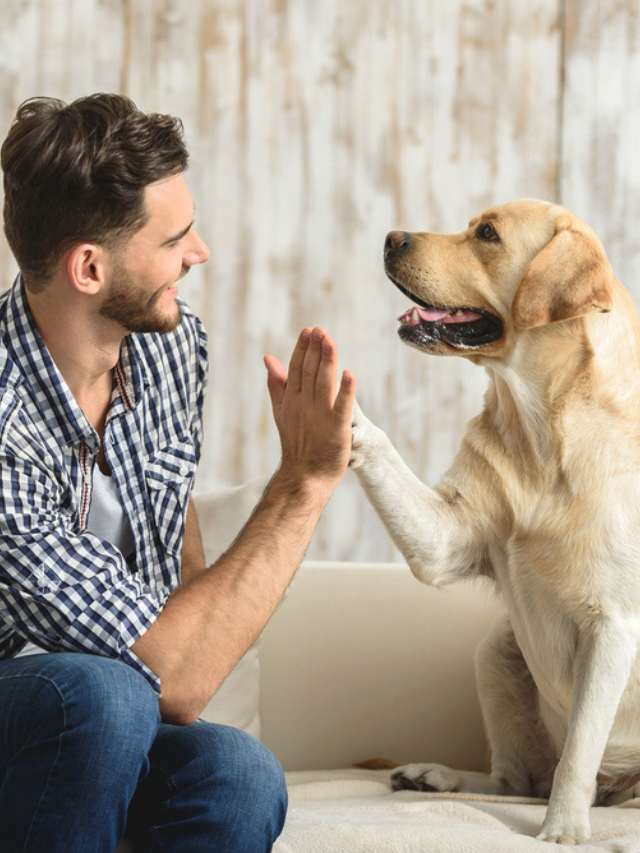 6 Things Your Dog Does to Communicate