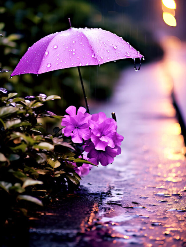 beautiful-purple-umbrella-nice-flower-rainy-day-ai-generator