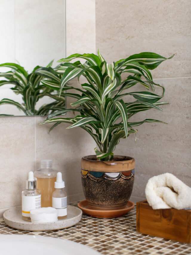 counter-bathroom-with-cosmetics-face-care-roll-up-clean-towel-houseplant-flowerpot-vertical-image (1)