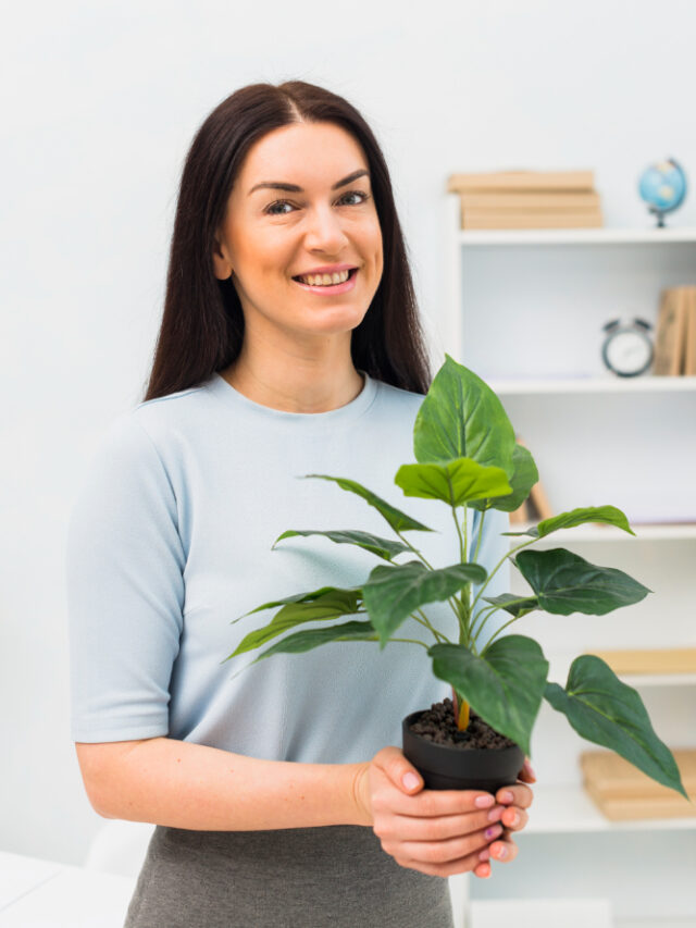 young-woman-standing-with-green-plant-flower-pot