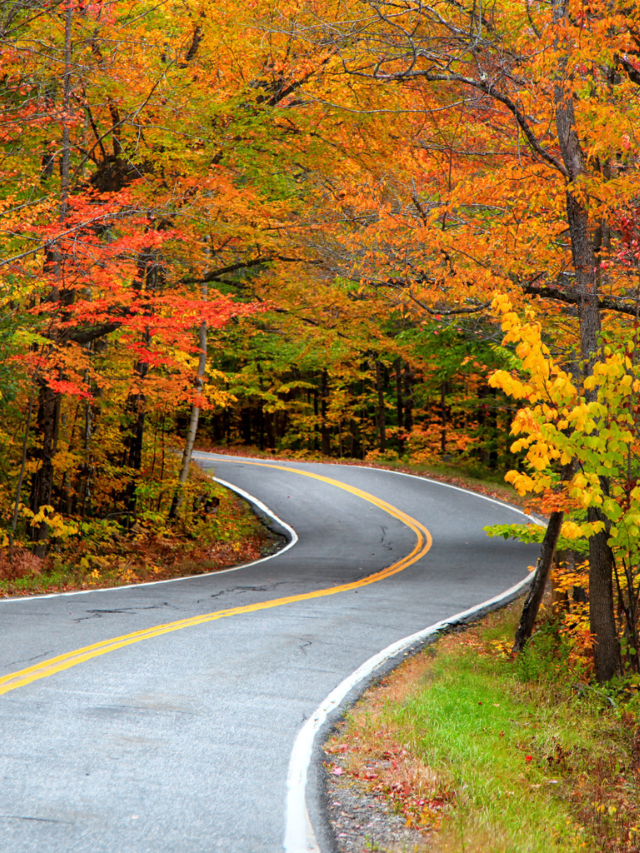 7 Best Places to Spot Fall Foliage in America