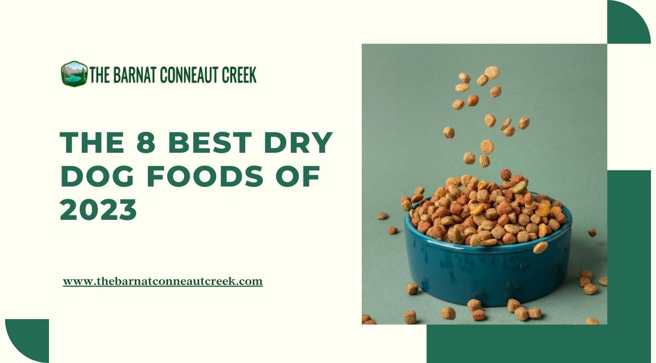 The 8 Best Dry Dog Foods of 2023 Best Food For Your Dog