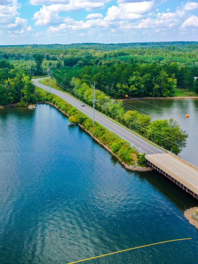 Find the Top 5 Amazing Lake Geneva Fish in Wisconsin