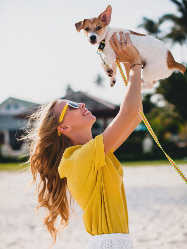 young-stylish-hipster-woman-holding-walking-playing-dog-puppy-jack-russell-tropical-park-smiling-have-fun-vacation-sunglasses-cap-yellow-shirt-beach-sand