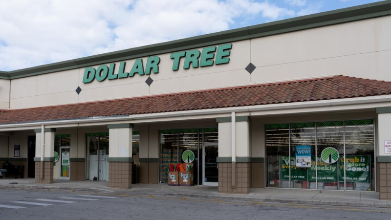 6 Brand New Dollar Tree Items That Will Cost More at Target in October